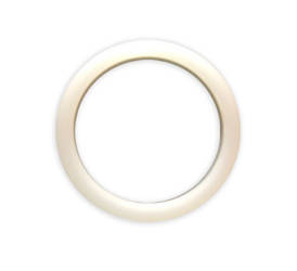 Spring energized seals 39.99mm enlarged