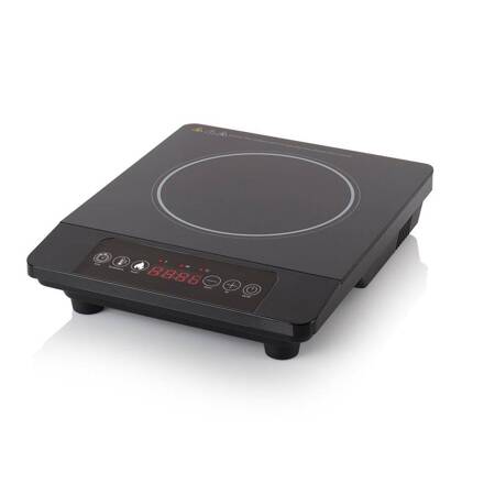 Induction Hotplate