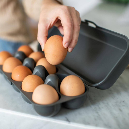 Egg Box