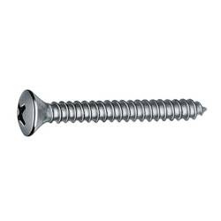Raised Countersunk-Head Tapping Screw Form C with Cross Recess H