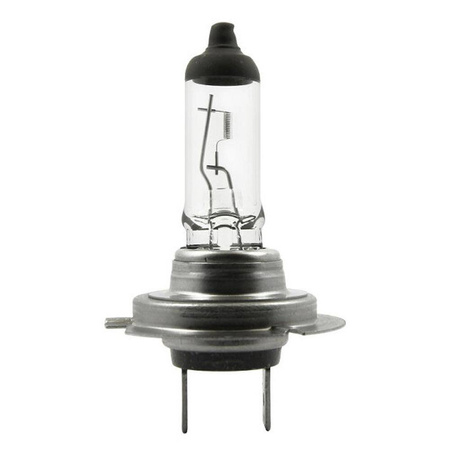 Halogen Bulbs