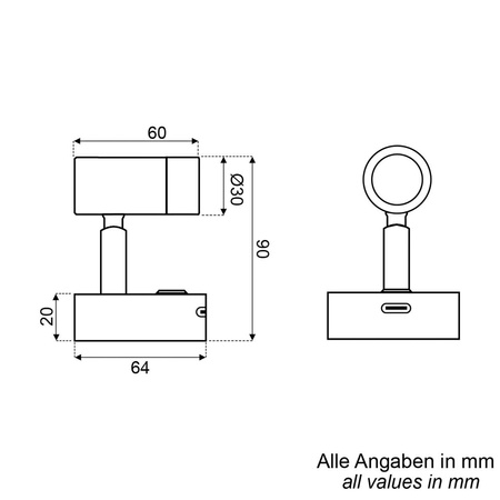 surface-mounted light