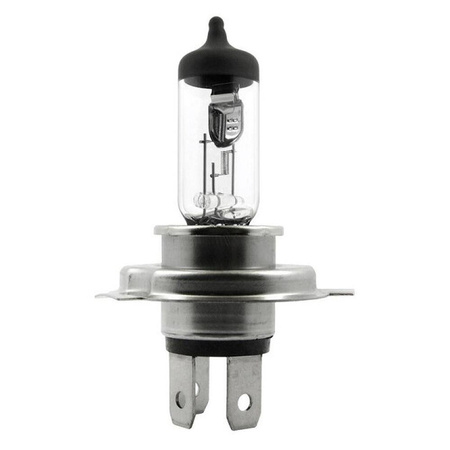 Halogen Bulbs