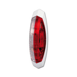 Double-sided base light white