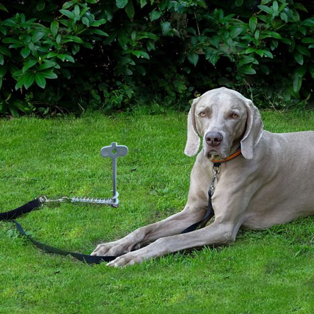 Dog peg – ground anchor for pets
