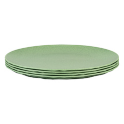 Flat plate CLUB PLATE 260