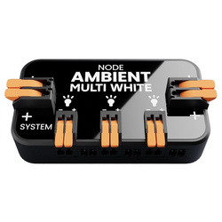 Revotion LED Lighting Controller MultiWhite 20A 0.5W Black