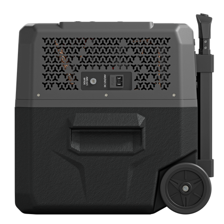 Yolco przenośna lodówka kompresorowa BCX30 28 l, Carbon