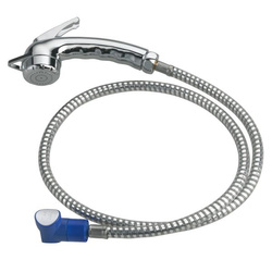 Charisma shower head with hose for water socket