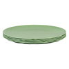 Flat plate CLUB PLATE 260