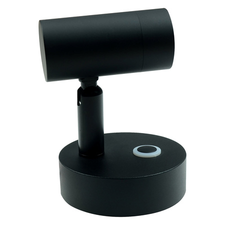 surface-mounted light