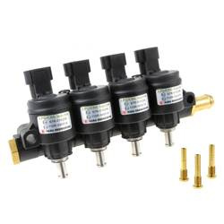 H2002 Gold HANA LPG, CNG 4CYL Injectors Rail