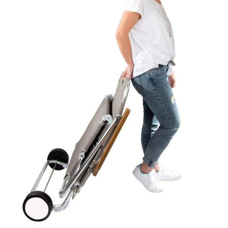 Beach Chair Beach Trolley