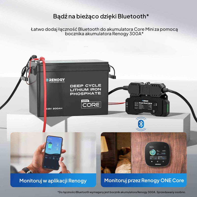Renogy RBT12200LFP-M-G1-DE