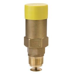 ATSV 25 1 1/4" NPT Zawór bezpieczeństwa 15,6 bar z zaworem odcinającym