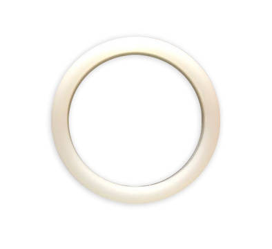 Spring energized seals 39.99mm enlarged
